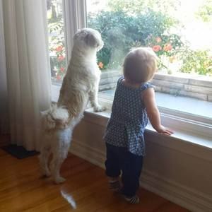 Meet your Posher, Phin